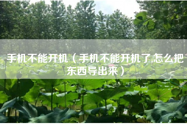 手机不能开机(手机不能开机了,怎么把东西导出来)